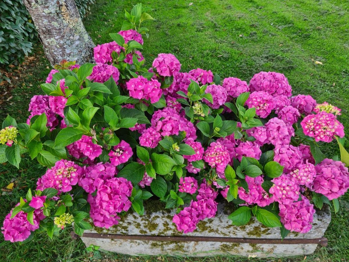 La Fraise Bed & Breakfast Chaumont-sur-Tharonne Exterior photo